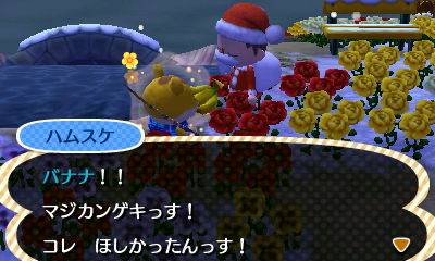 バナナなハムスケ